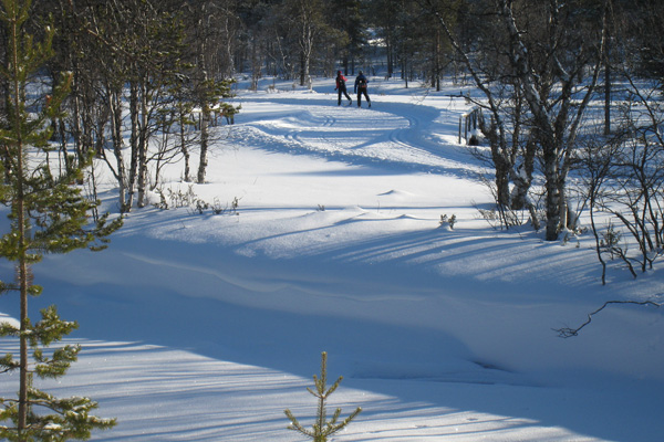 Saariselän alueen loistava latuverkosto avautuu aivan majan kulmalta.