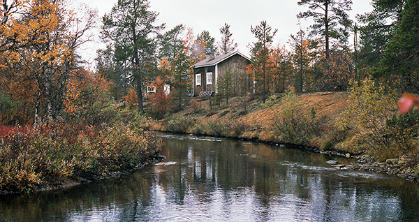 Kakslauttasen joki lipuu aivan majan sivuitse. Uimapaikka on vain muutaman askeleen päässä saunasta joen alajuoksun suuntaan.