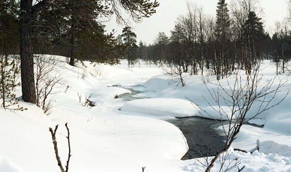 Jos suksi ei luista, voi lähteä vaikka Saariselälle kylpylään uimaan.